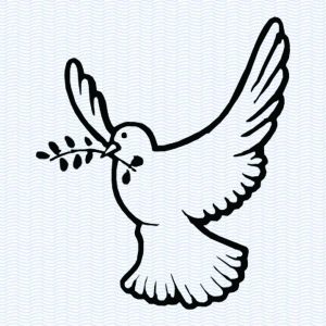 Dove