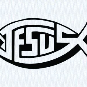 Fish B