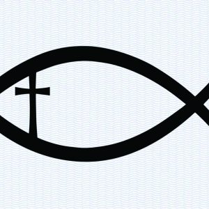 Fish C