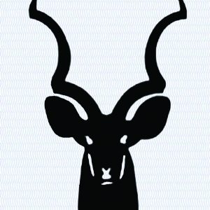 Bok A