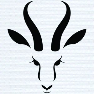 Bok B