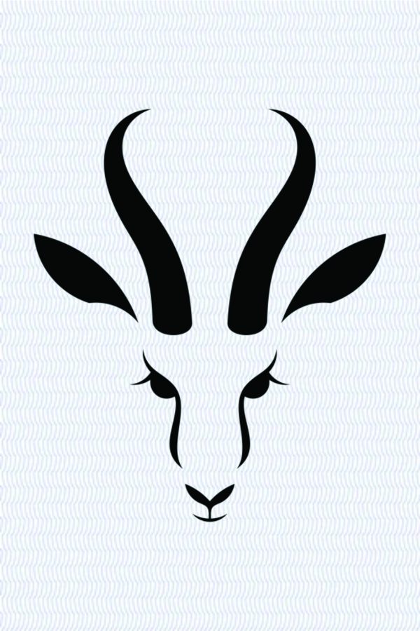Bok B