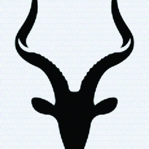 Bok C