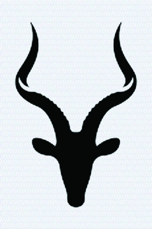Bok C