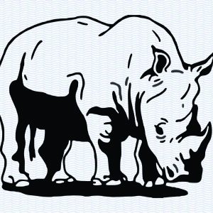 Detailed Rhino