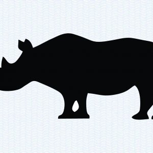 Rhino