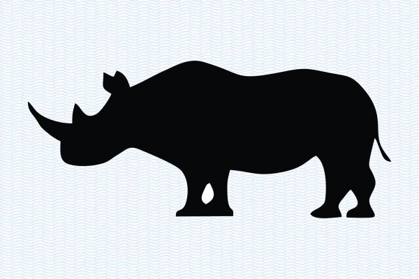 Rhino