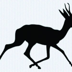 Bokkie